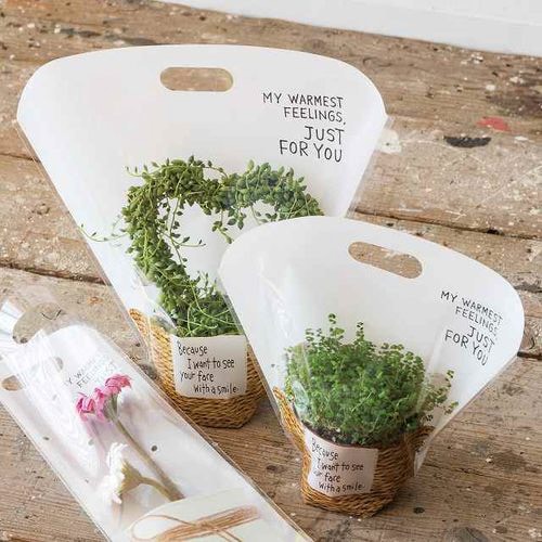 ナチュラルバスケットスタンドバッグ−S 50枚×2