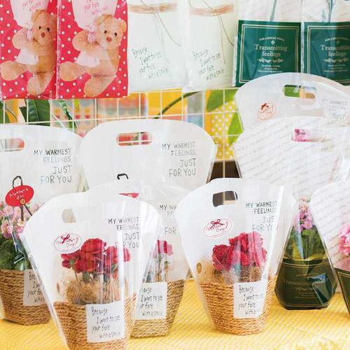 ナチュラルバスケットスタンドバッグ−S 50枚×2