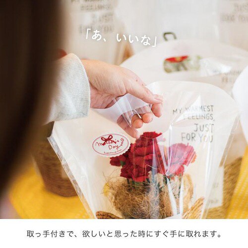 ナチュラルバスケットスタンドバッグ−S 50枚×2