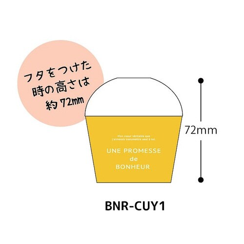 ナチュラルワイヤーリボンミントグリーン−81巻×3