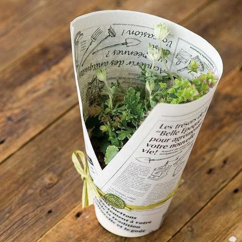 ニュースペーパージャーナル−2WR 500枚