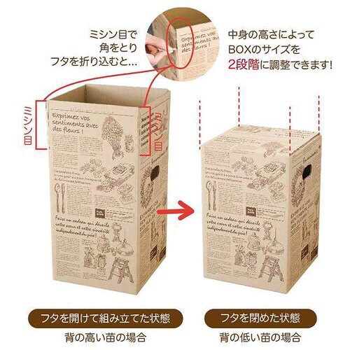 ニュースペーパージャーナルカートン−1 10枚×2