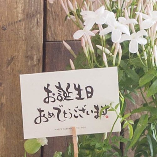 バースデイ和風ギフトカード−1 20枚×3