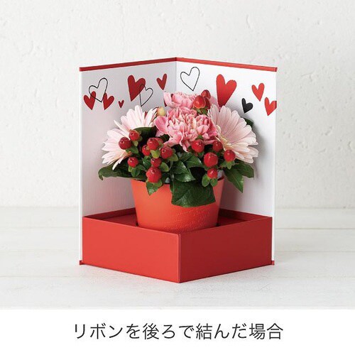ハートフルギフトステージボックス−M 4個