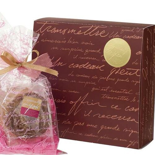 パステルシール−2 100枚×5