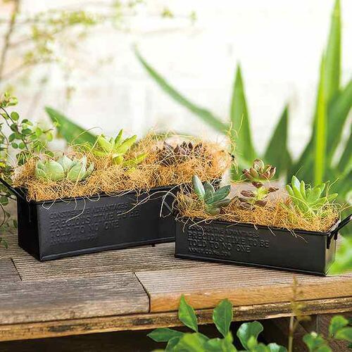 ファイバーパッキン−ココナッツ 1個×10