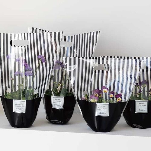 フィエルテスタンドバッグ−M 50枚