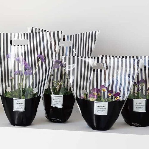 フィエルテスタンドバッグ−S 50枚×2