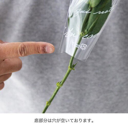 フィエルテブーケスリーブOPPバッグ2 100×2