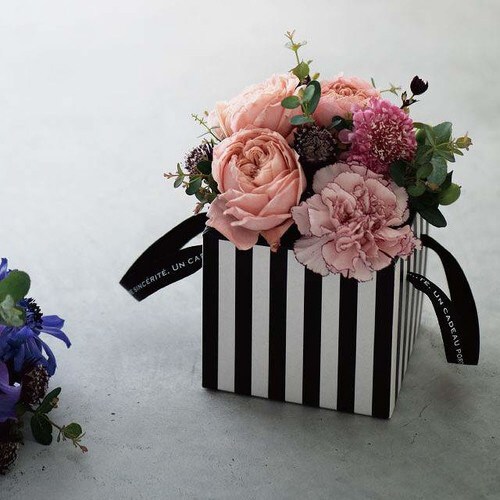 フィエルテリボンハンドルボックス−S 10枚×2