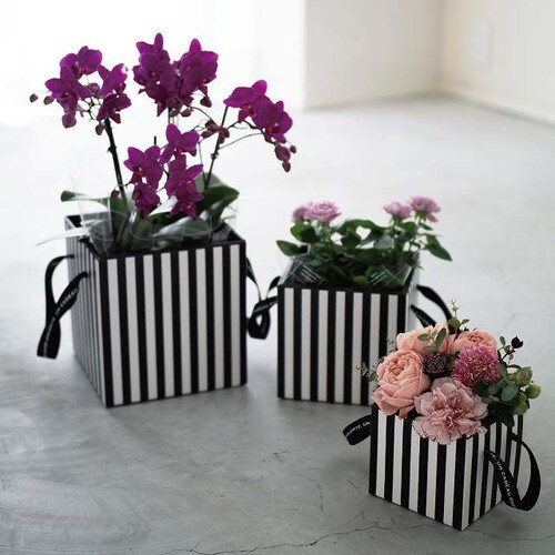 フィエルテリボンハンドルボックス−S 10枚×2