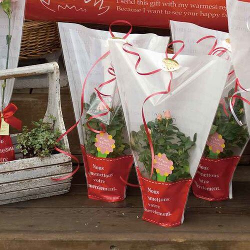 フラワーギフトOPPバッグ−3 50枚×2