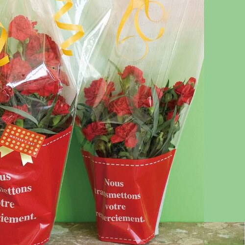 フラワーギフトOPPバッグ−4 50枚