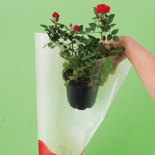 フラワーギフトOPPバッグ−5 50枚