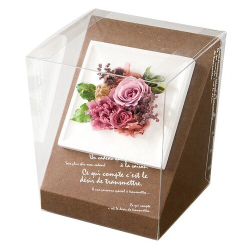 フラワークリアBOX斜めスタンド−ブラウンS×2