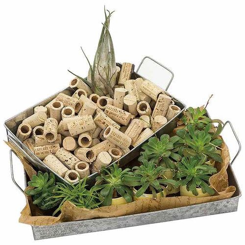 ブリキトレイ−S 1個×5