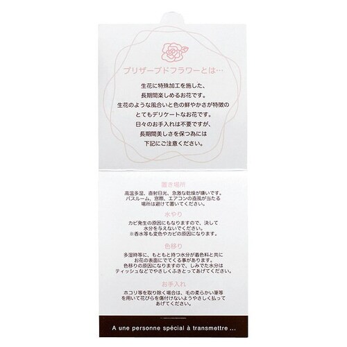 プリザーブドフラワーメンテナンスカード2 50×2