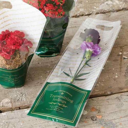 ブリティッシュスタイルOPPギフトバッグ−1×3