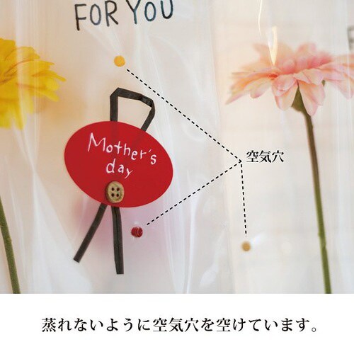 ブリティッシュスタイルOPPギフトバッグ−1×3