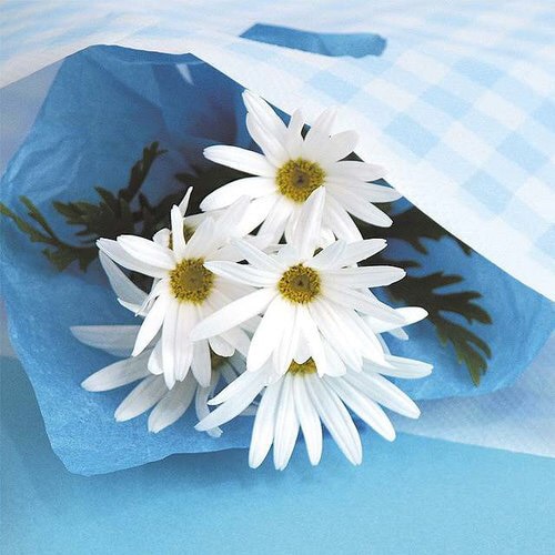 ブル−チェックワッフルバッグ−4 100枚×3