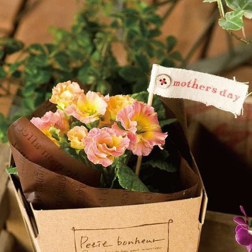 フレンチフロストPEロール−ブラウン 1巻×2