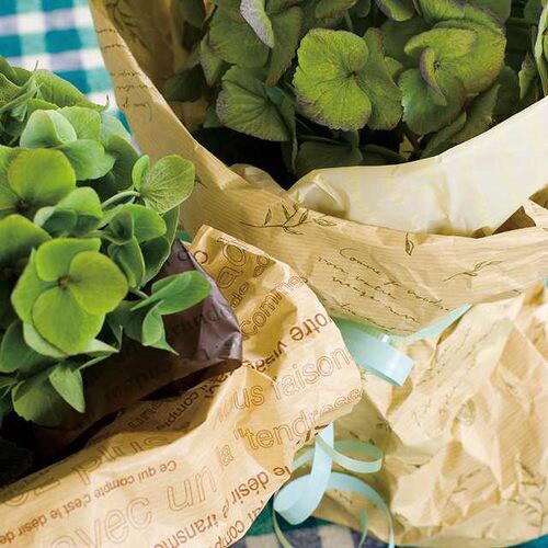 プロバンス筋ハト包装紙−1 50枚×2