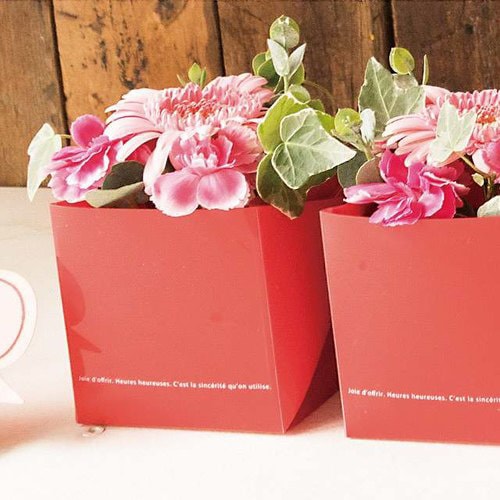 ベーシックキューブPPカップ−レッド 20枚