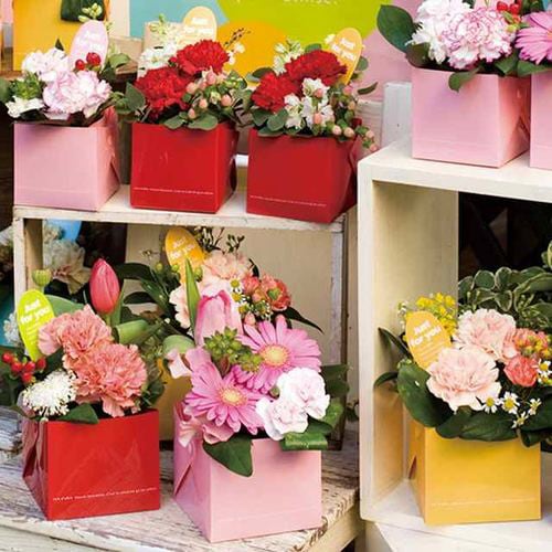 ベーシックキューブPPカップ−レッド 20枚