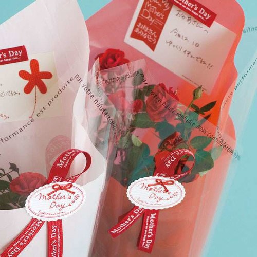 ベーシックスクエアバッグ−M 50枚×3