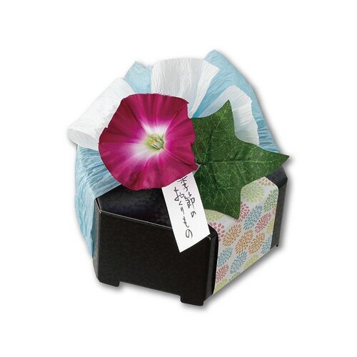 ペーパーラフィア PR−50LB 1巻×5