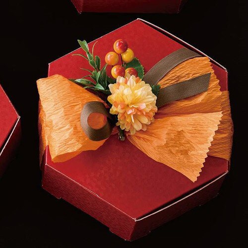 ペーパーラフィア PR−50OR 1巻×5