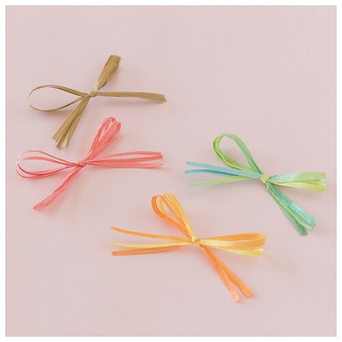 ペーパーラフィア PR−EM 1巻×10