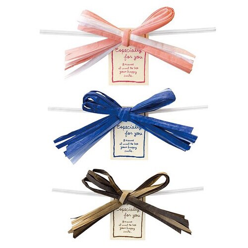 ペーパーラフィアワイヤータイ−1 10個×5