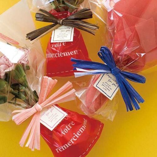 ペーパーラフィアワイヤータイ−2 10個×5