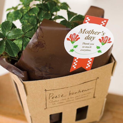 ペンシルタッチペーパーバスケット−4 20枚×2