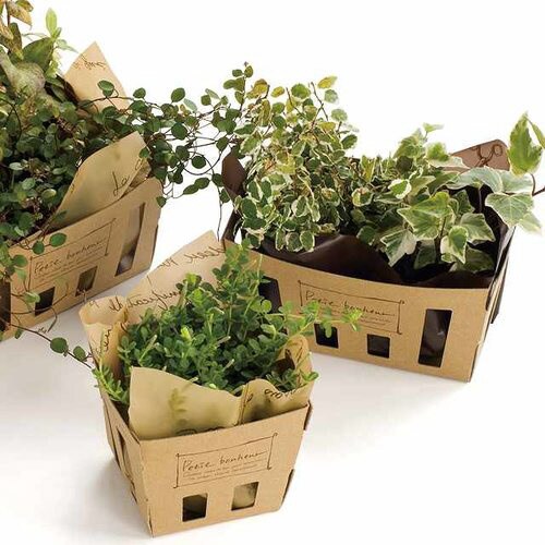 ペンシルタッチペーパーバスケット−4 20枚×2