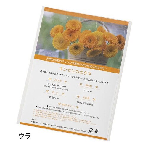 ボヌールカップ−1/ブラウン 100個×2