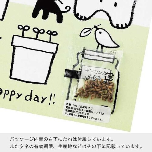 ボヌールカップ−1/ブラウン 100個×2