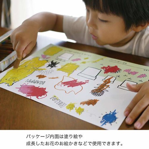 ボヌールカップ−1/ブラウン 100個×2