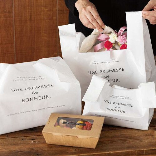 ボヌールレジバッグ/0.05mm−DL100枚×2