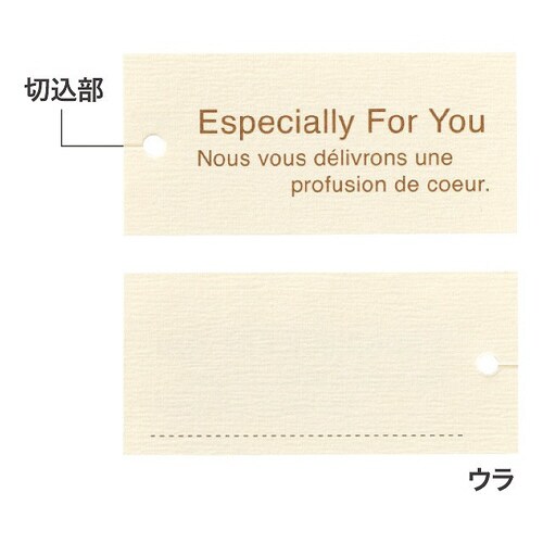 ミニギフトカード/ナチュラル/エスペシャリー×10