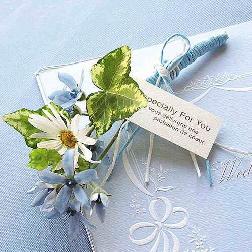 ミニギフトカード/ナチュラル/エスペシャリー×10