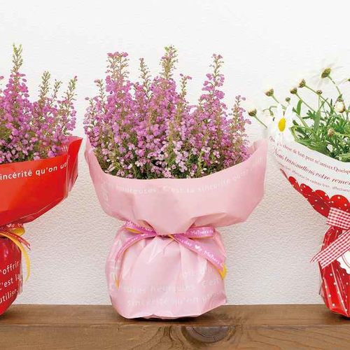 ミルキーポップOPPポットカバー/ピンク−4×2