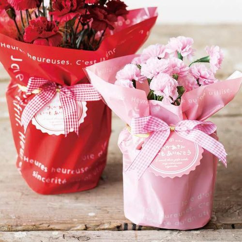 ミルキーポップOPPポットカバー/ピンク−4×2