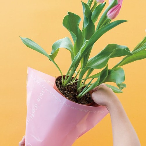 ミルキーポップOPPポットカバー/ピンク−4×2