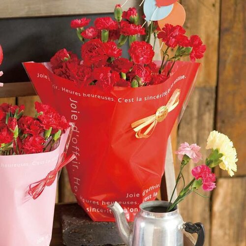 ミルキーポップOPPポットカバー/レッド−5×2