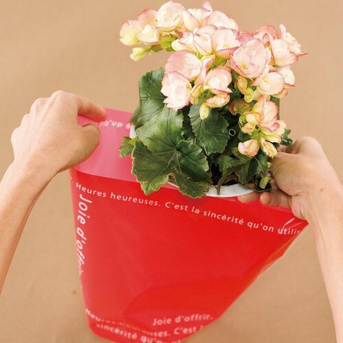 ミルキーポップOPPポットカバー/レッド−5×2