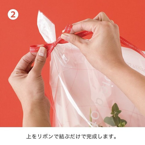 ミルキーポップアレンジOPPバッグ−4 50枚×2