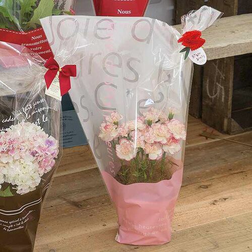 ミルキーポップギフトOPPバッグ−5/ピンク50枚