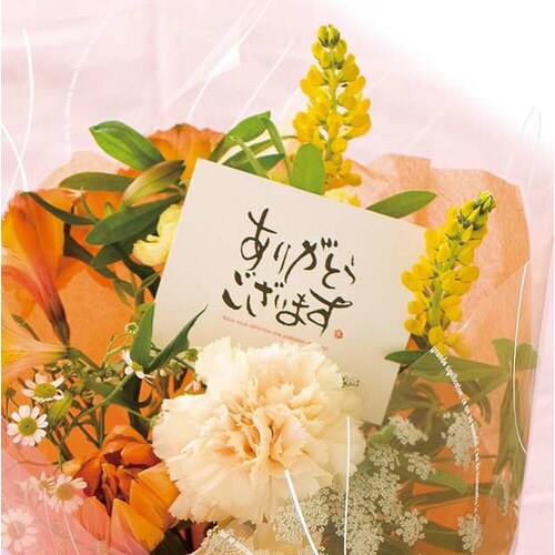 メッセージギフトカード−2 30枚×5